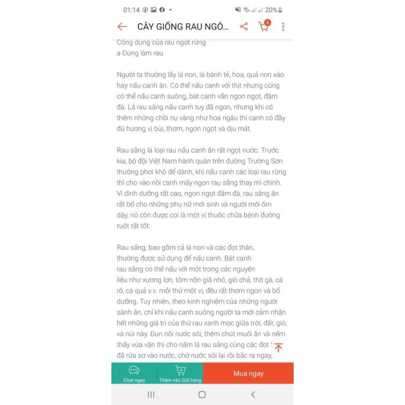 Cây giống rau ngót rừng