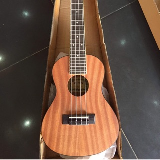 Đàn ukulele gỗ lyric sale