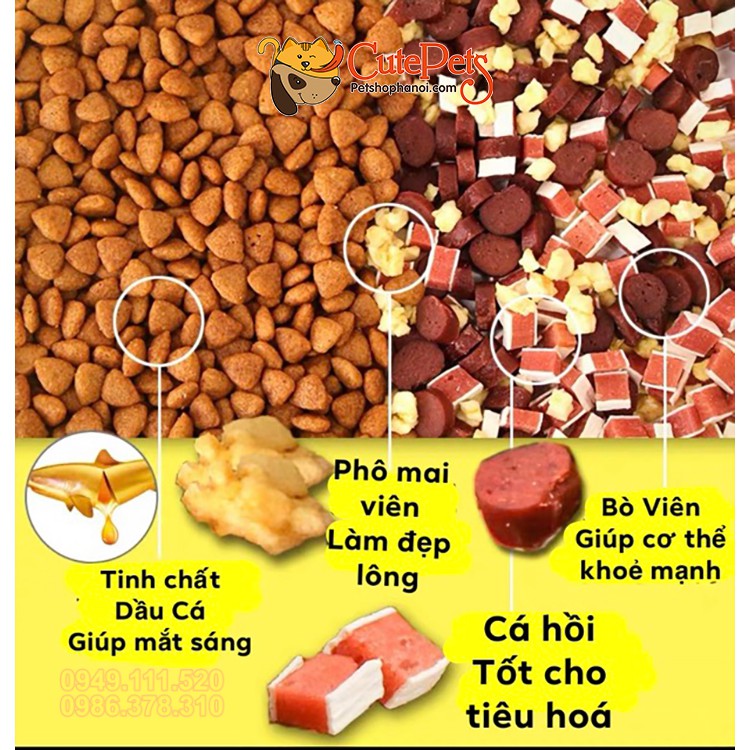 [Mã 155FMCGSALE giảm 7% đơn 500K] Thức ăn cho chó hạt CAPTAIN 1kg trộn pho mai, thịt bò, cá hồi cho cún - CutePets