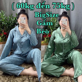 Đồ bộ bigsize pijama gấm bèo tdqd