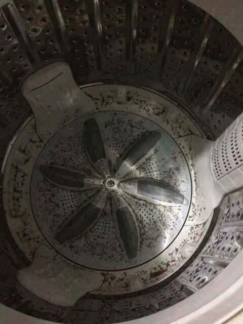 Bột Tẩy Vệ Sinh Lồng Máy Giặt Hàn Quốc Siêu Sạch 400Gram