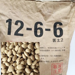 Phân tan chậm quả bàng 12-6-6-2 nhật bản