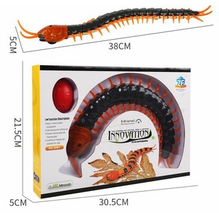 Đồ chơi con rết điều khiển từ xa No.9901