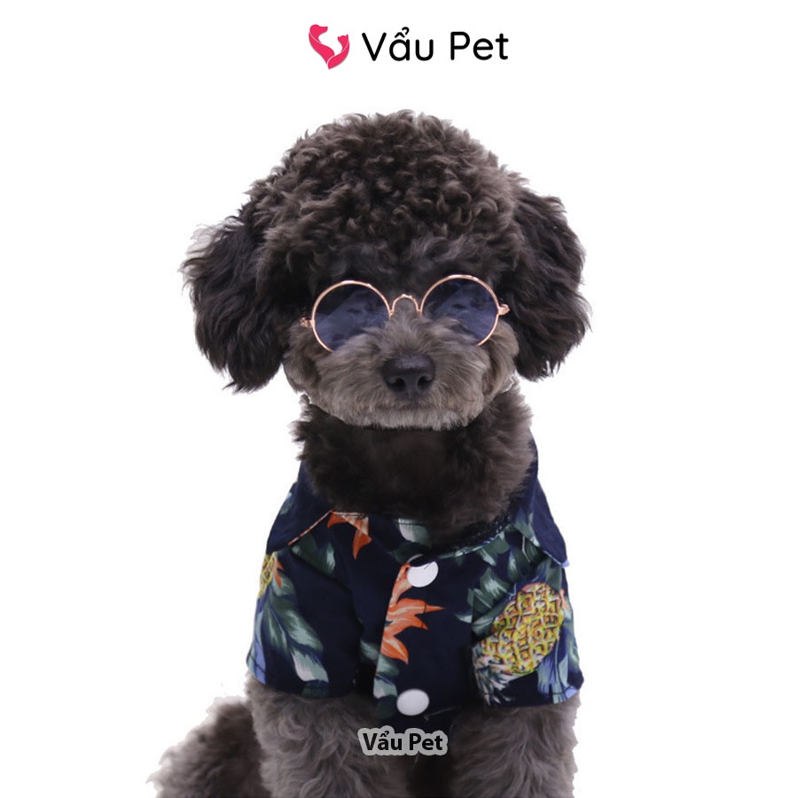 Kính Cho Chó Mèo Thời Trang - Đạo Cụ Chụp Hình Chó Mèo Thú Cưng Vẩu Pet Shop