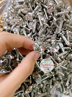 Ốc 5ly2 ngôi sao bi