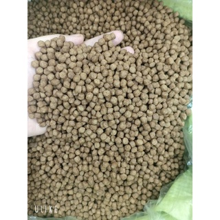 Cám cá koi 40 % đạm hạt 6-7 ly