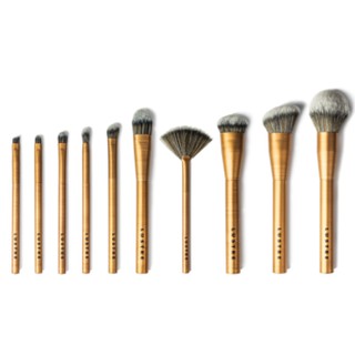 Bo 10 co luster pro makeup brush set