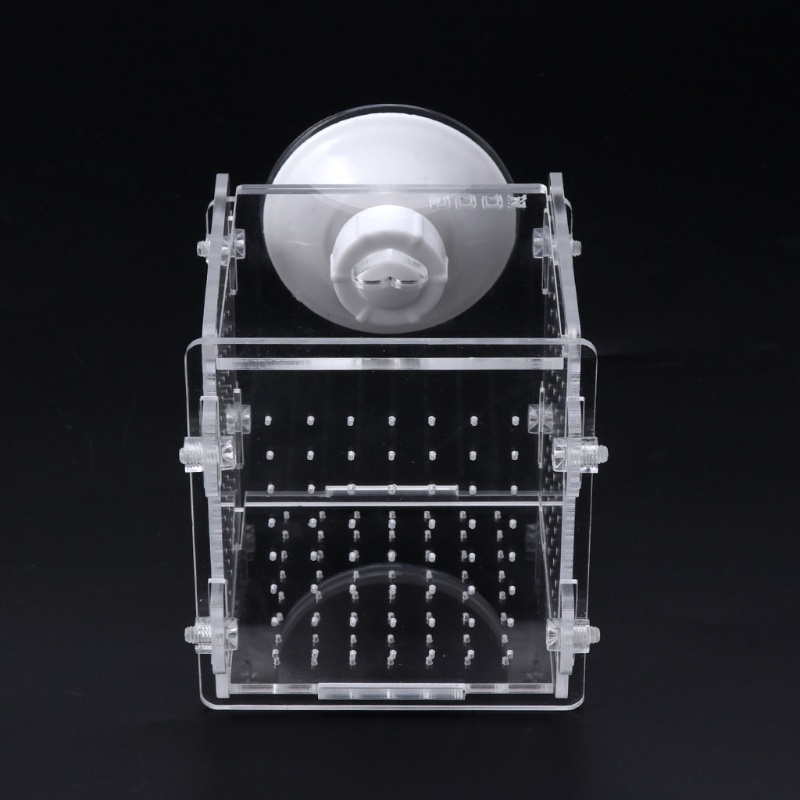 Hộp Nuôi Cá Bằng Acrylic Trong Suốt Có Cốc Hút Cho Trẻ Sơ Sinh