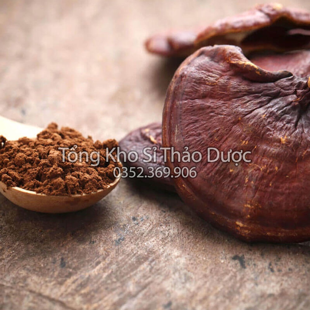 Bột nấm linh chi nguyên chất 1kg