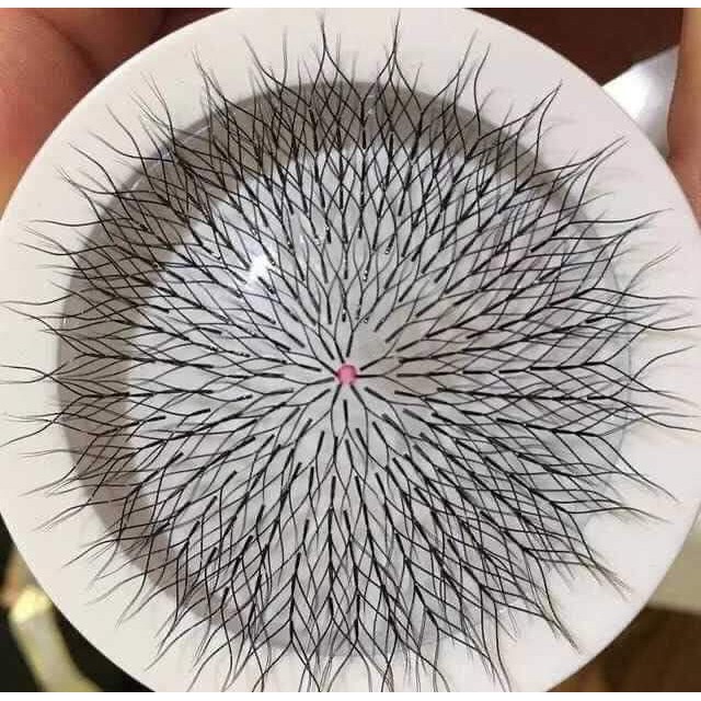 Mi YY cao cấp C007, Cc007, D007