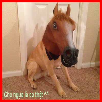 MẶT NẠ ĐẦU NGỰA VÀNG phù hợp cho hóa trang Halloween trung thu lễ hội sự kiện quay video cosplay