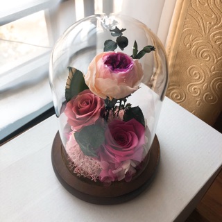 Hoa hồng vĩnh cửu