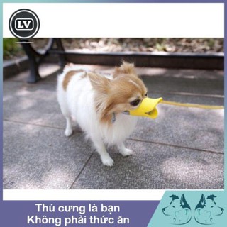 Rọ mõm mỏ vịt cho chó mèo Phụ kiện Long Vũ