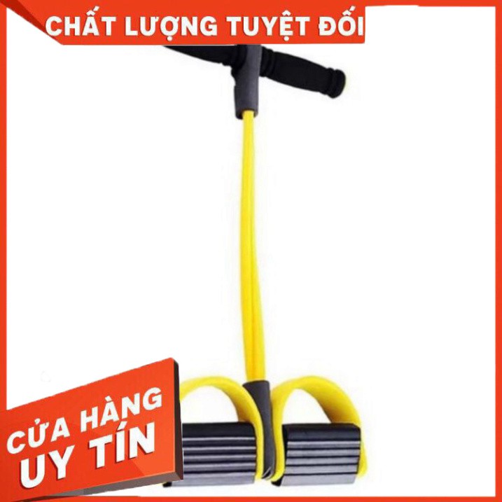 Dụng Cụ Tập Gym, Tập Cơ Bụng Tại Nhà, Kéo Tay Tummy Trimmer Dây Cao Su - VietShop