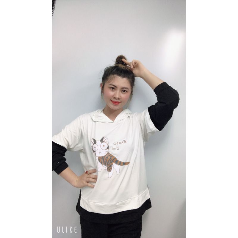 áo hoodie  họa tiết mèo cute,áo form unisex M1 | BigBuy360 - bigbuy360.vn