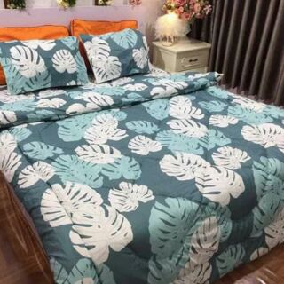 Set chăn phao ga gối