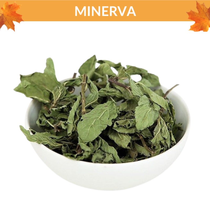 100 g Bạc hà sấy lạnh loại đẹp , lá xanh nguyên chất pha trà , xông phòng