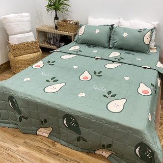 Bộ 5 Món Chăn Ga Gối Coton Poly cao cấp (kèm chăn hè)