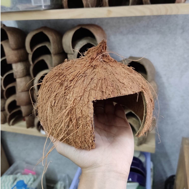 Hang trú ẩn, nhà ngủ gáo dừa cho thú cưng