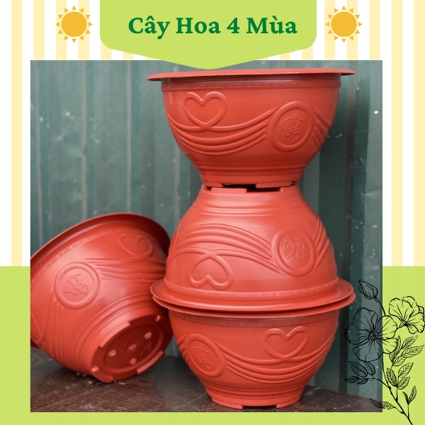 5 Chậu nhựa trồng cây tròn các màu đủ size loại đục lỗ COMBO 5Chậu size t28,t38