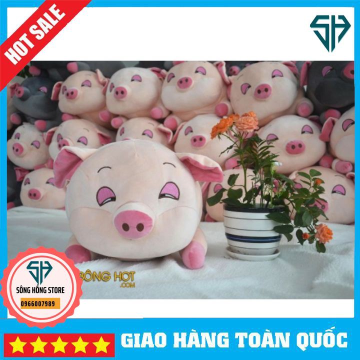 (Hàng Đẹp) Gấu Bông Heo Buồn Ngủ size 30 Cm