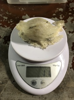 10gr yến thô (loại còn lông)