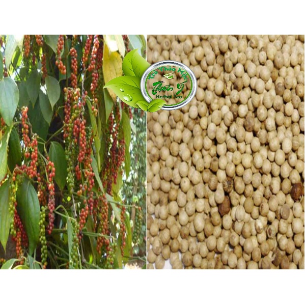 Tiêu Sọ Trắng Thơm Sạch Phú Quốc