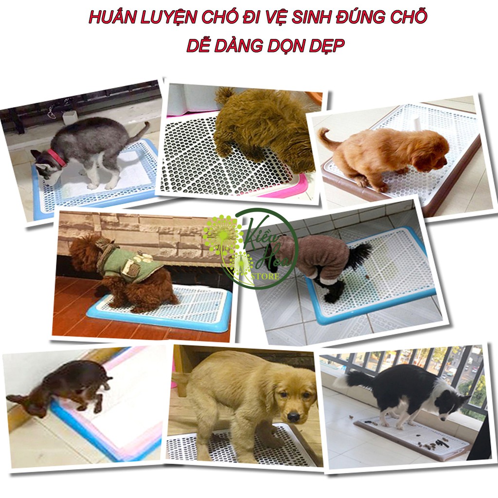 KHAY VỆ SINH CHO CHÓ MÈO ĐI ĐÚNG CHỖ (TẶNG KÈM 1 TẤM LÓT KHAY) HÌNH GẤU SIÊU DỄ THƯƠNG KÈM CỘT (Kiều Hoa Store)