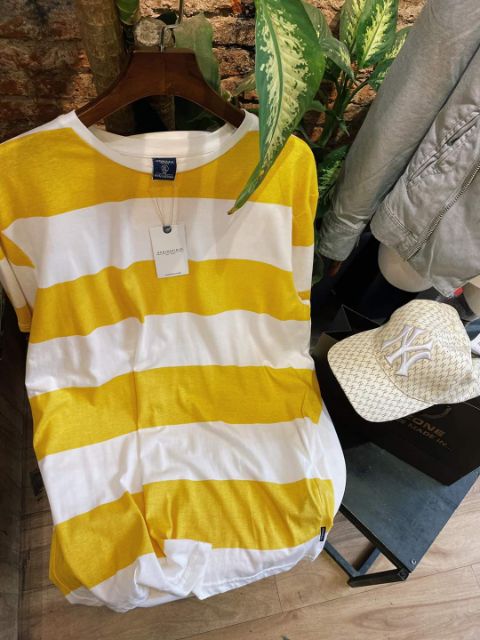 Áo Phông SPRINGFIELD