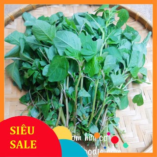 10g Hạt giống Rau dền cơm VIETPHAT