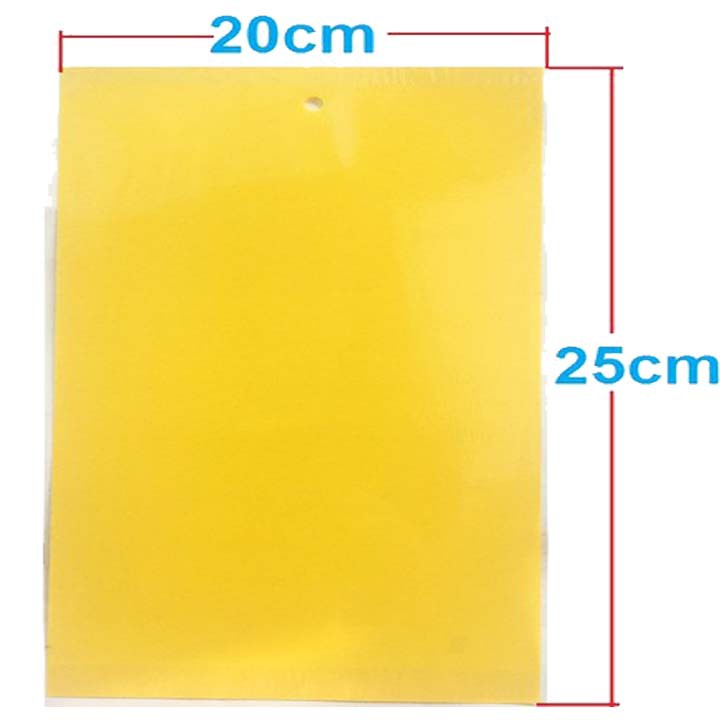 BẪY SIÊU DÍNH RUỒI VÀNG Bám Dính 2 Mặt, Kích thước 20 x 25cm