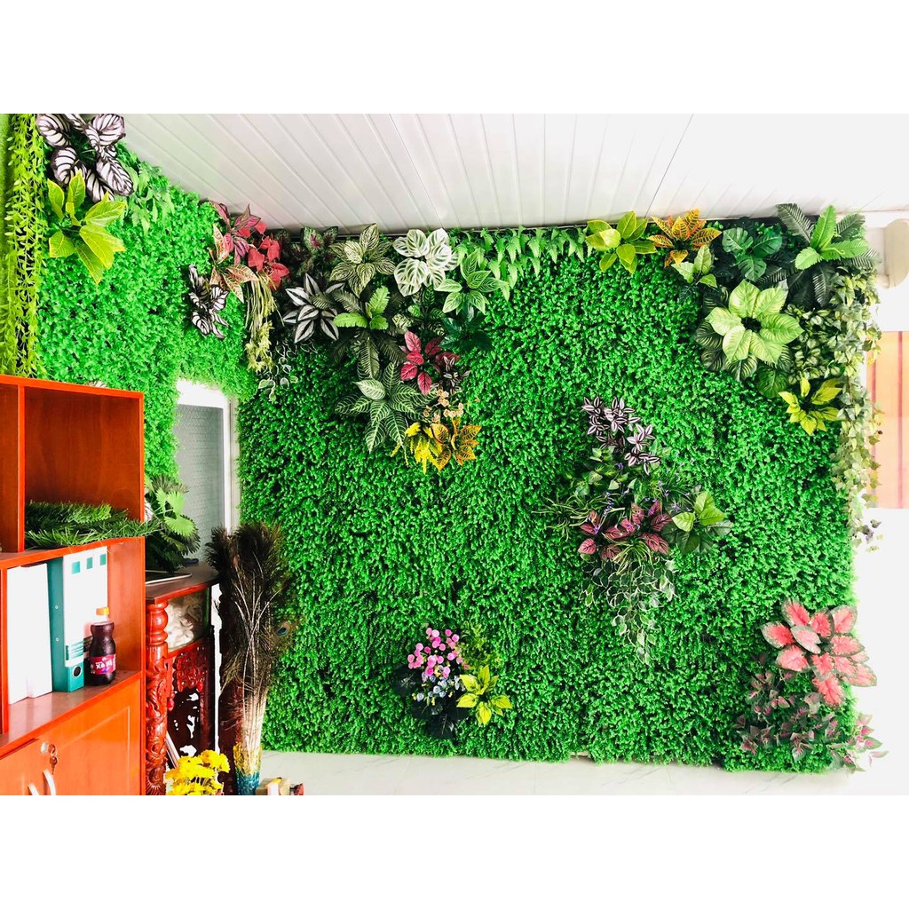 Cỏ treo tường tai chuột kích thước 60cm x 40cm.
