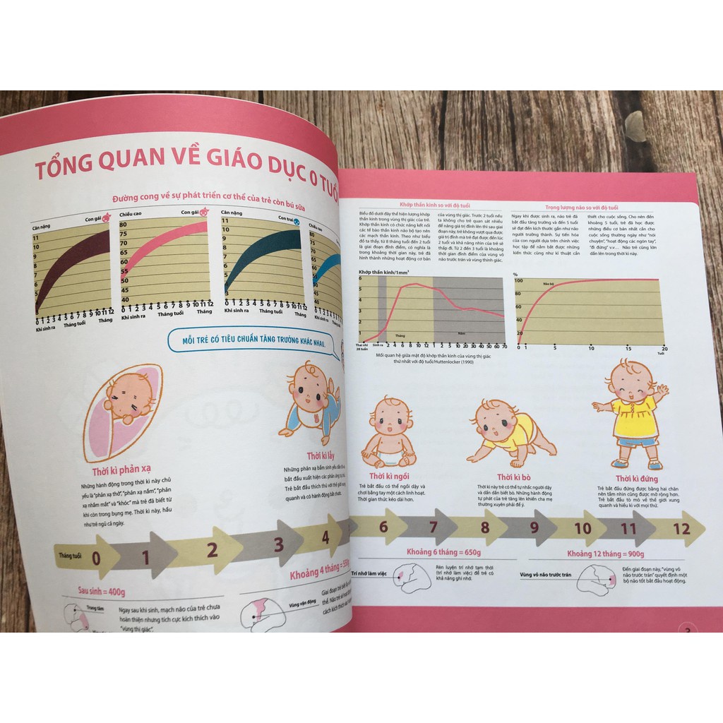 Sách - Dạy Con Kiểu Nhật: Giai Đoạn Trẻ 0 Tuổi