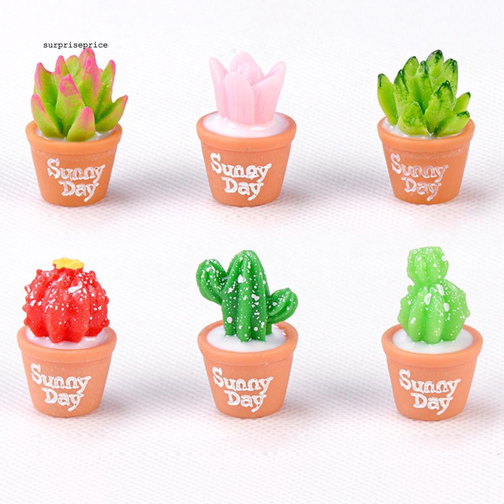 Bộ 2 mô hình cây xương rồng mini bằng nhựa chuyên dụng cho trang trí tiểu cảnh