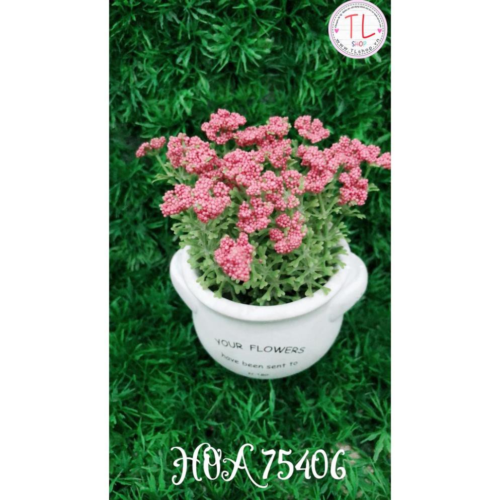Chậu bông bi trang trí màu hồng
