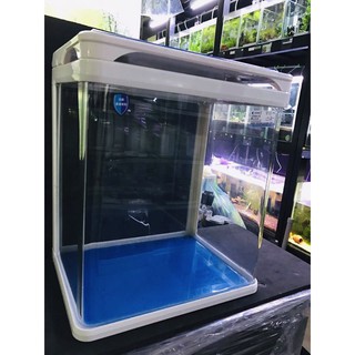 Hàng sẵn - Bể đúc bể cá cảnh Q3-380 38x23x40cm