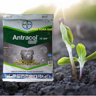 Thuốc Trừ Bệnh Cây Trồng ANTRACOL (Gói 100g)