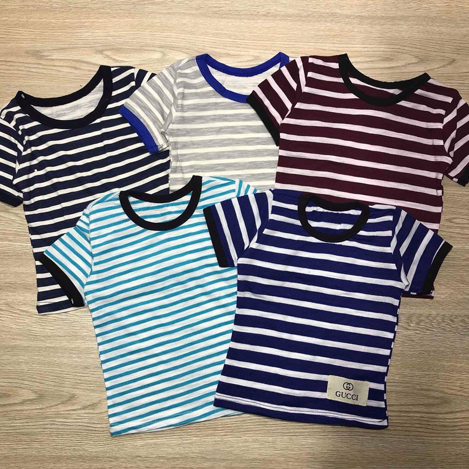 Combo 4 áo phông kẻ cho bé