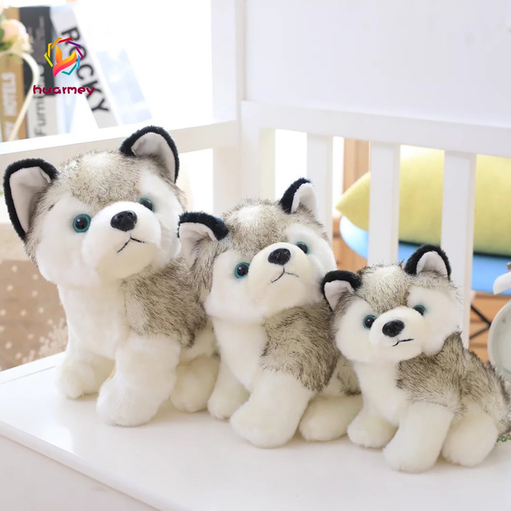 Chó Husky nhồi bông đáng yêu