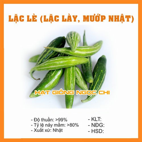 Hạt Giống Lặc Lày (Lặc Lè, Mướp Nhật) - 10 Hạt