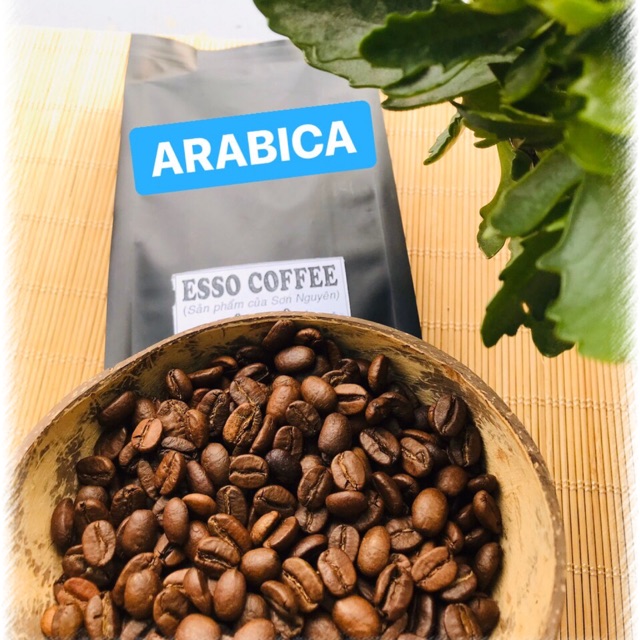 ARABICA - TỔNG ĐẠI LÝ CAFE HẠT