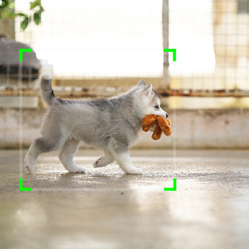 Giá đỡ thông minh xoay 360 độ hỗ trợ chụp ảnh tự động | BigBuy360 - bigbuy360.vn