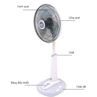 Quạt lửng Benny BF-40ST/40STX/40STH/40STG