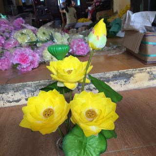 Cụm sen vải. 25k