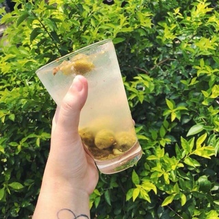 Nước Sấu Ngâm