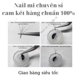Nút đổ keo tạo fan mi, mi hoa hồng