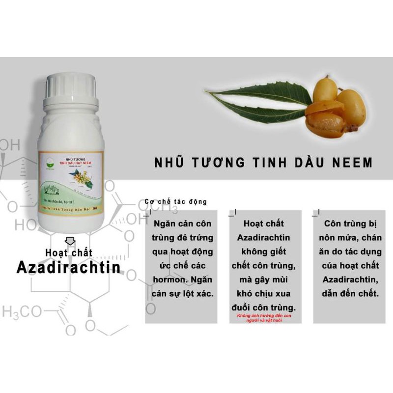 Chai 250ml Nhũ tương tinh dầu hạt Neem XTF - C1 thuốc trừ sâu sinh học chuyên trị nhện đỏ, bọ tri, rầy rệp hiệu quả cao