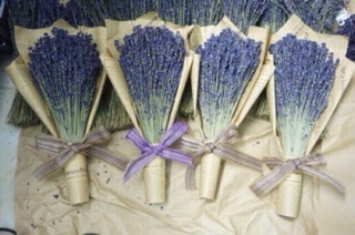 Hoa khô Lavender Pháp - 01