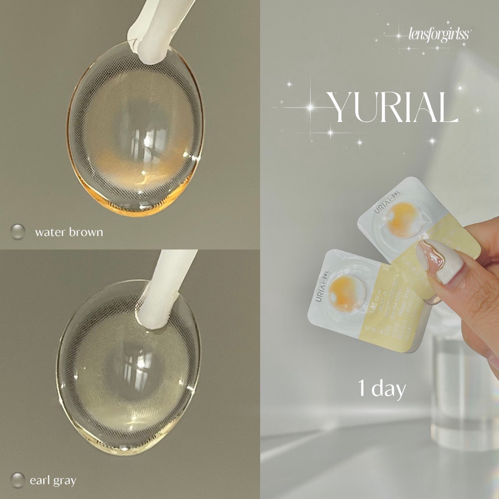 Kính áp tròng 1 NGÀY YURIAL WATER BROWN chính hãng IDOL LENS | Lens 1 ngày