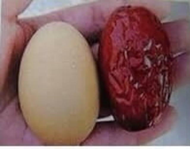 Táo tàu đỏ siêu to size đại 1 kg